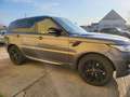 Land Rover Range Rover Sport 3,0 TDV6 HSE Gris - thumbnail 31