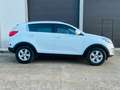 Kia Sportage Sportage 1.7CRDi Concept 4x2 Concept Blanco - thumbnail 11