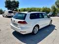 Volkswagen Golf Variant Golf Variant 1.5 tgi Business 130cv dsg Weiß - thumbnail 4