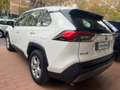 Toyota RAV 4 RAV4 2.5 HV (222CV) E-CVT AWD-i Business Bianco - thumbnail 3