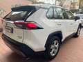 Toyota RAV 4 RAV4 2.5 HV (222CV) E-CVT AWD-i Business Bianco - thumbnail 4