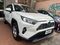 Toyota RAV 4 RAV4 2.5 HV (222CV) E-CVT AWD-i Business Bianco - thumbnail 2