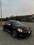Volkswagen New Beetle 2.0 Turbo benzina - thumbnail 6