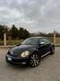 Volkswagen New Beetle 2.0 Turbo benzina - thumbnail 2
