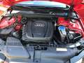 Audi A5 A5 Sportback 2.0TDI S line ed. Mult. 150 S line edition Rojo - thumbnail 8