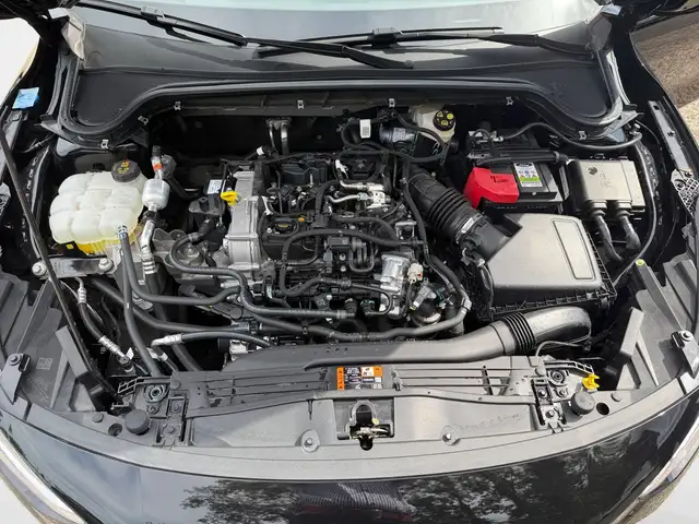 Ford Focus view 14