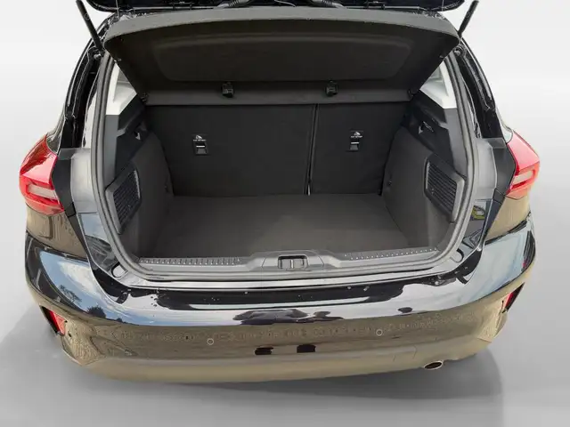 Ford Focus view 11