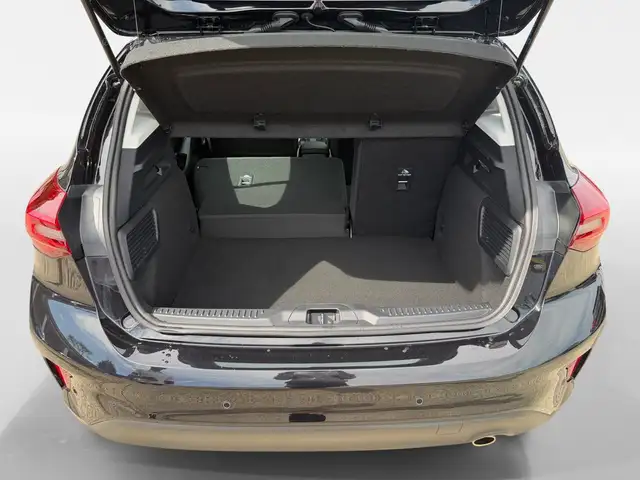 Ford Focus view 12