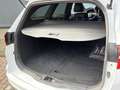 Ford Focus Wagon 1.5 ST-Line LAGE KM-Stand I Automatische Air Wit - thumbnail 18
