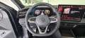 Volkswagen Tiguan R-Line TDI 4MOTION DSG Grau - thumbnail 7