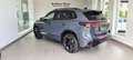 Volkswagen Tiguan R-Line TDI 4MOTION DSG Grau - thumbnail 4