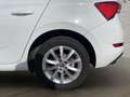 Skoda Scala 1.0 TGI 66 KW (90 CV) Ambition Blanco - thumbnail 12