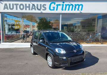 Panda/Pandina 1.0 GSE Hybrid "Freispr., Klima" uvm