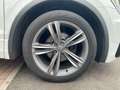 Volkswagen Tiguan 2.0 TDI DSG R-Line Highline ACC+AHK+Ca... Weiß - thumbnail 5