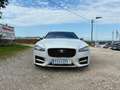 Jaguar XF XF Sportbrake 25t R-Sport Aut. R-Sport Weiß - thumbnail 1