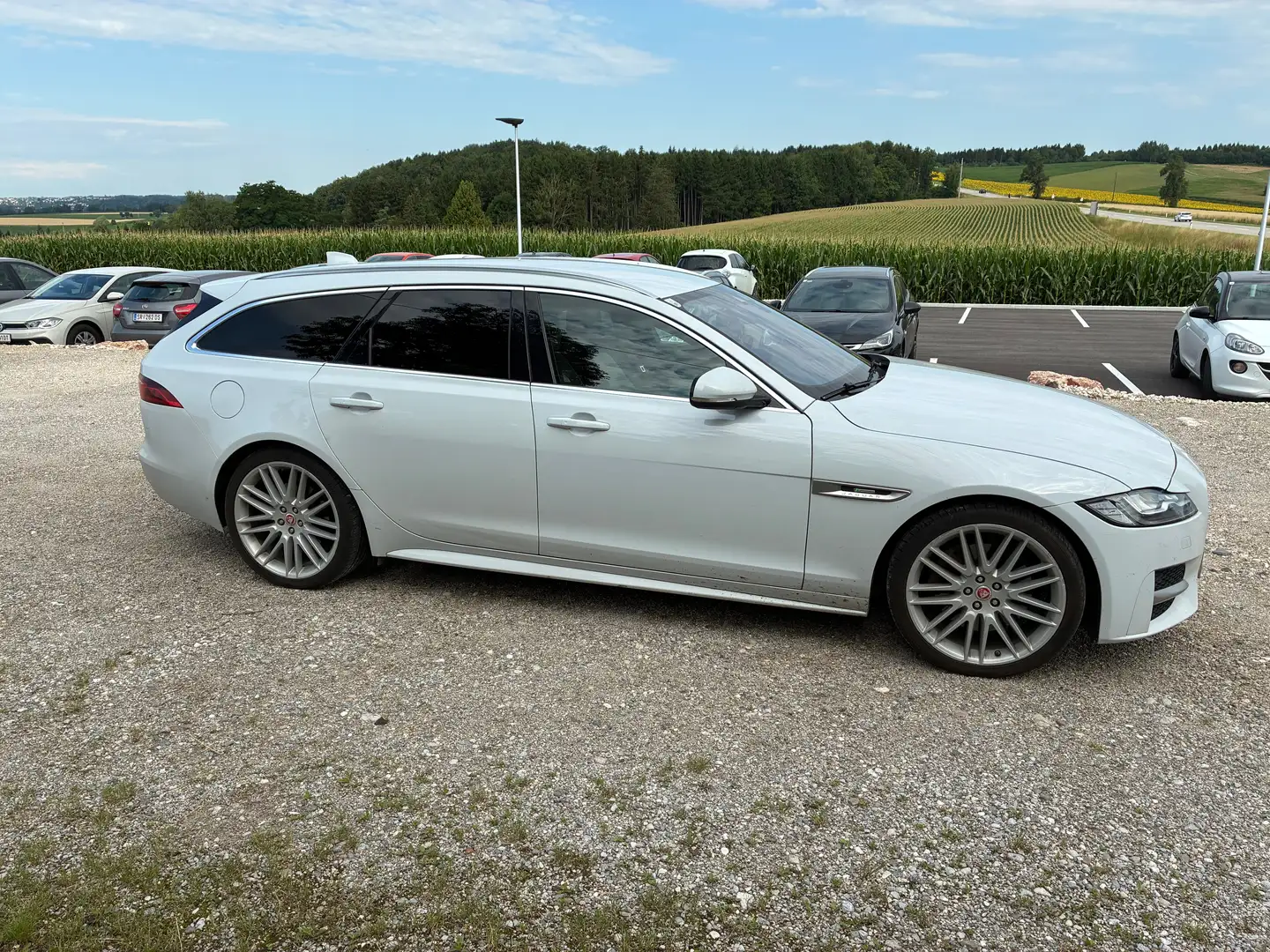 Jaguar XF XF Sportbrake 25t R-Sport Aut. R-Sport Weiß - 2