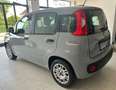 Fiat Panda Panda III 2016 1.2 Easy 69cv Grigio - thumbnail 4