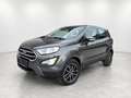 Ford EcoSport 1,5 TDCi Titanium Grau - thumbnail 2