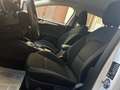 Ford Focus 1.5 EcoBlue 120 Aut. SW Co-Pilot Bianco - thumbnail 13