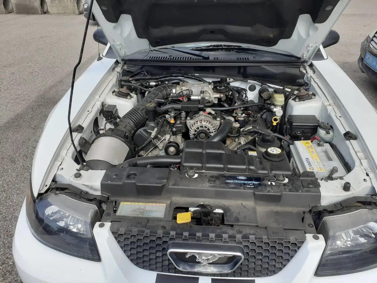 Ford Mustang Cabrio GT Aut. Klima Leder el. Verdeck Temp, foto 10