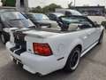 Ford Mustang Cabrio GT Aut. Klima Leder el. Verdeck Temp Weiß - thumbnail 4