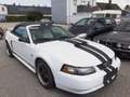 Ford Mustang Cabrio GT Aut. Klima Leder el. Verdeck Temp Weiß - thumbnail 8