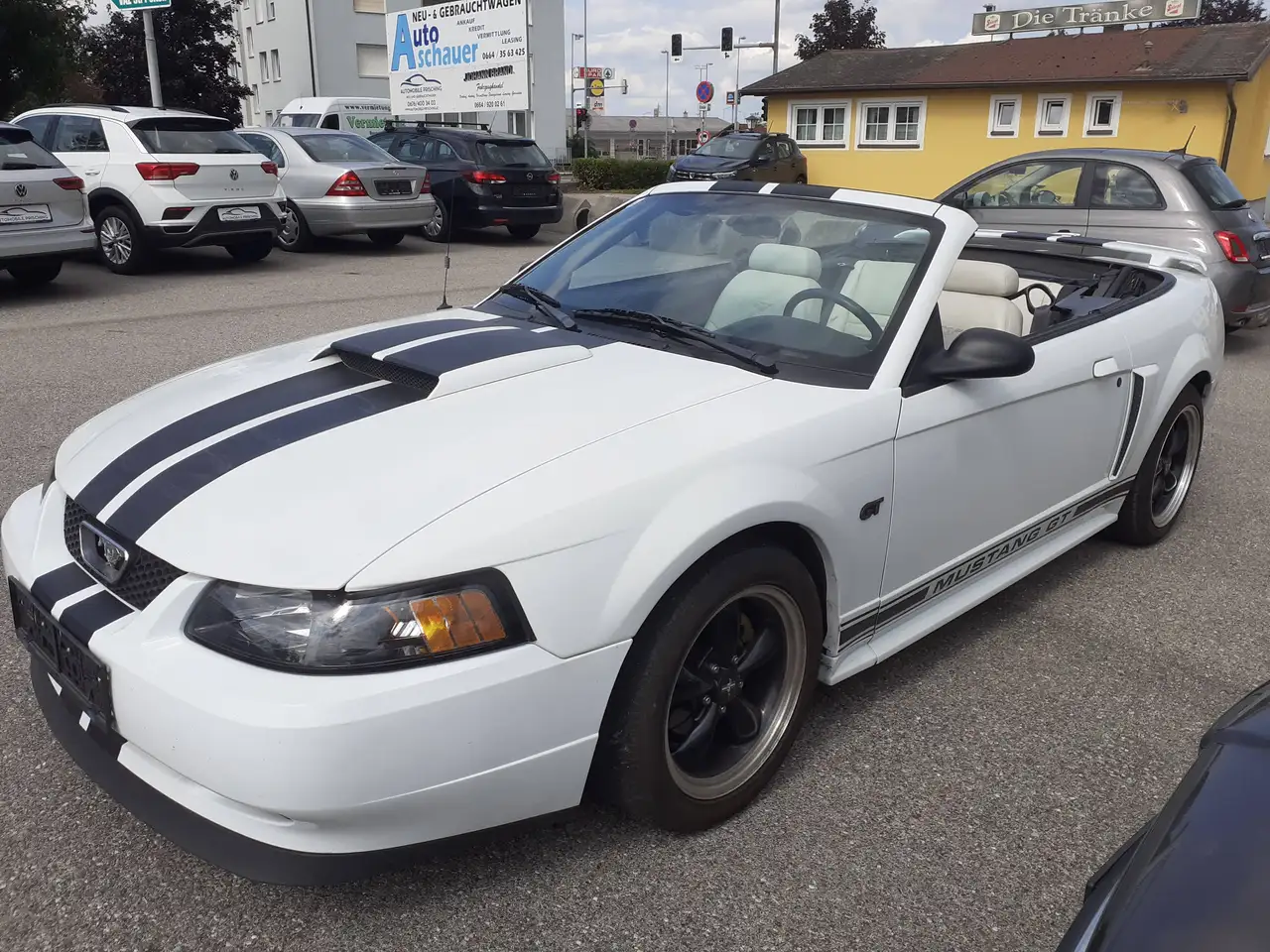 Ford Mustang Cabrio GT Aut. Klima Leder el. Verdeck Temp, foto 3