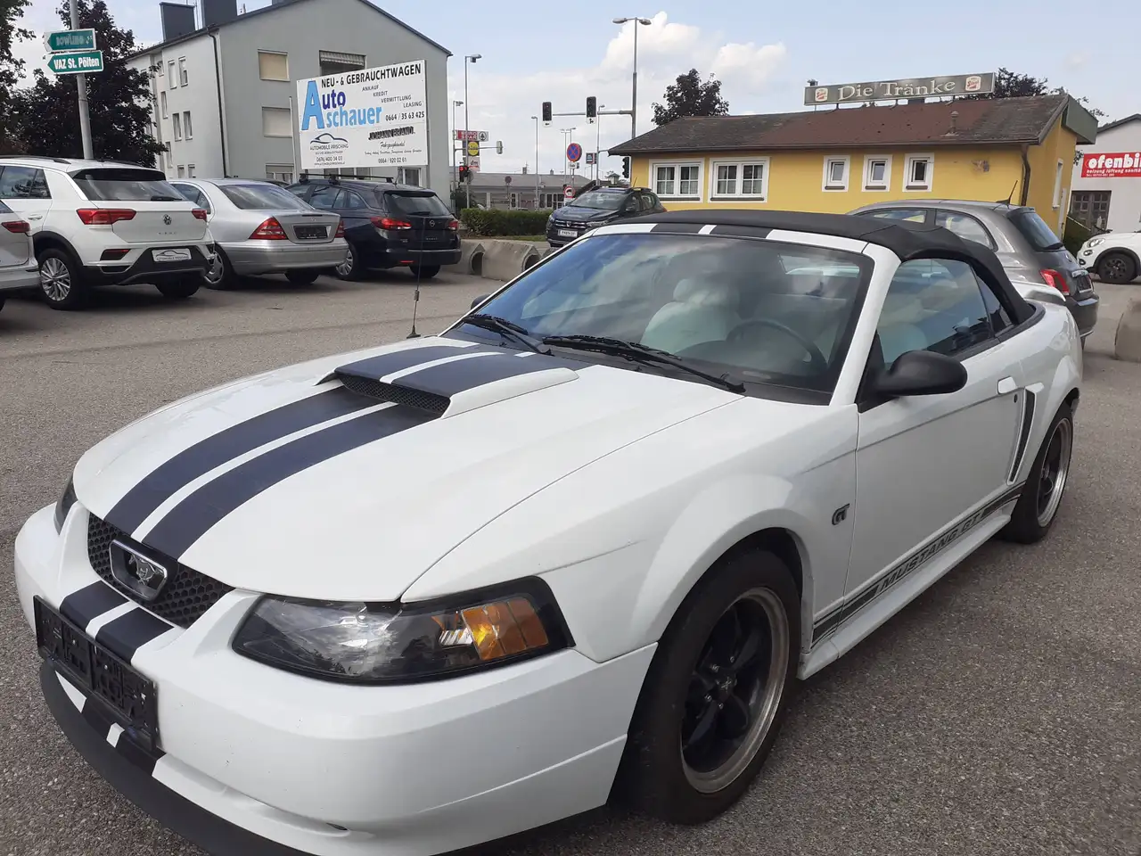 Ford Mustang Cabrio GT Aut. Klima Leder el. Verdeck Temp, foto 6