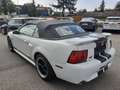 Ford Mustang Cabrio GT Aut. Klima Leder el. Verdeck Temp Weiß - thumbnail 7