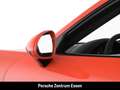 Porsche 991 -1 (911) GT3 RS Orange - thumbnail 13