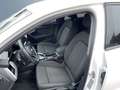 Audi A3 40 TFSI e S line Navi VC SHZ PDC LE Weiß - thumbnail 12