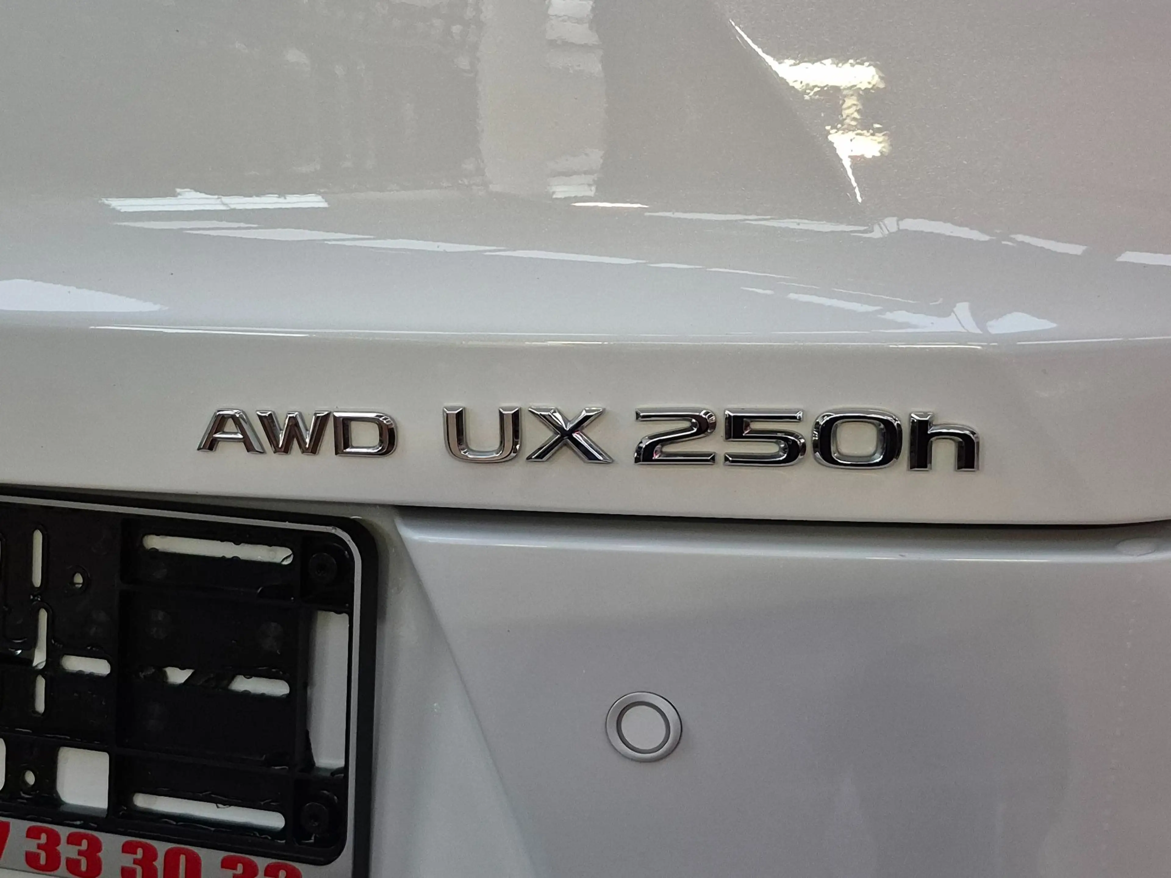 Lexus UX 250h AWD F-SPORT LINE +LEDER +Mark Levinson +360°Cam — photo 9