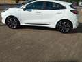 Ford Puma ST-Line Blanco - thumbnail 3