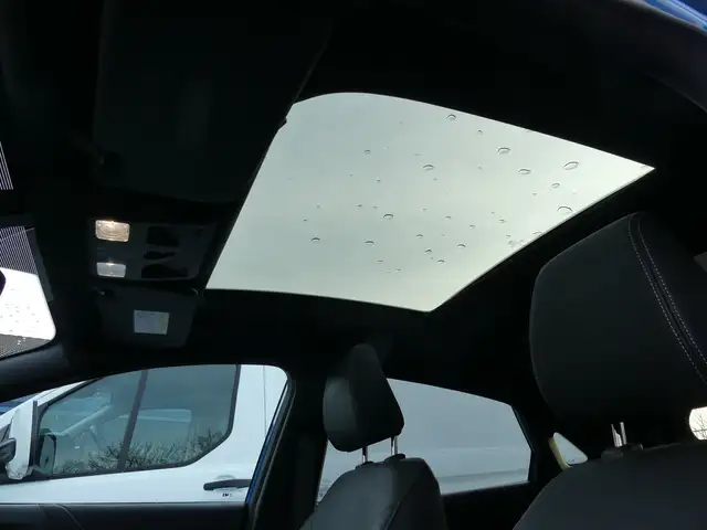 Ford Puma view 12