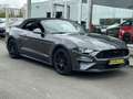 Ford Mustang 2.3i NEW MODEL CABRIOLET B.AUTO ECHAPPEMENT BORLA Gris - thumbnail 13