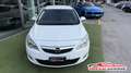 Opel Astra Astra 5p 1.7 cdti Cosmo 110cv Blanc - thumbnail 12