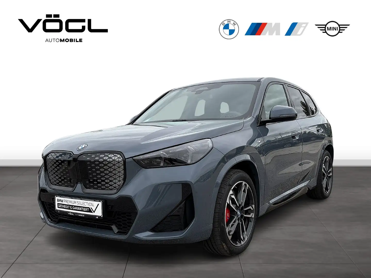 BMW iX1 xDrive30 DAB LED RFK AHK Klimaaut. PDC Gris - 1