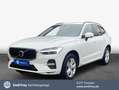 Volvo XC60 XC60 B4 B Geartronic Momentum Pro Licht-Paket Weiß - thumbnail 1