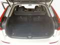 Volvo XC60 XC60 B4 B Geartronic Momentum Pro Licht-Paket Weiß - thumbnail 6