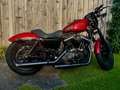 Harley-Davidson Sportster 883 in zeer goede staat Rood - thumbnail 1