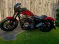Harley-Davidson Sportster 883 in zeer goede staat Rood - thumbnail 2