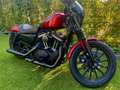 Harley-Davidson Sportster 883 in zeer goede staat Rood - thumbnail 3