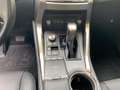 Lexus NX 300 h Style Edition el. Heckklappe*Uvm. - thumbnail 14