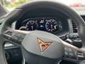 CUPRA Ateca 2.0 TSI 4Drive *AHK*BEATS*PANO*KAMERA* Silber - thumbnail 11