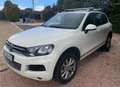 Volkswagen Touareg Touareg 3.0TDI V6 BMT Premium 240 Tiptronic Premium Blanco - thumbnail 12