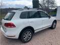Volkswagen Touareg Touareg 3.0TDI V6 BMT Premium 240 Tiptronic Premium Blanco - thumbnail 13