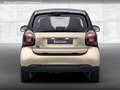 smart forTwo EQ 60kWed passion cool&Audio SHZ Dig Radio Beige - thumbnail 9