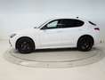Alfa Romeo Stelvio MY22-2.2 DIESEL 210CV VELOCE Q4 Blanco - thumbnail 2