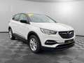 Opel Grandland X Edition 1.2 Kamera+Automatik Alb - thumbnail 3