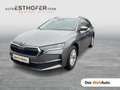 Skoda Octavia Selection TDI DSG Grau - thumbnail 1